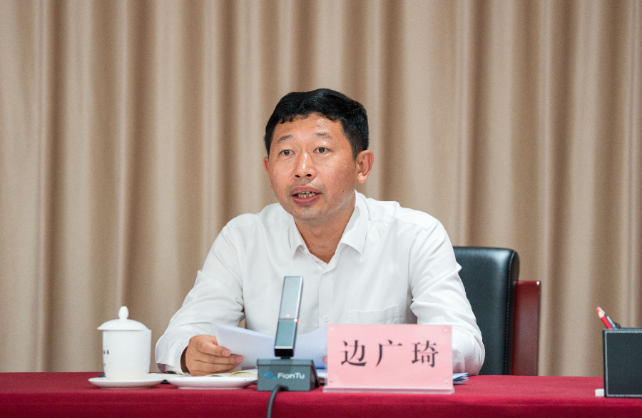 rapport sur le développement du stockage de nouvelles énergies en Chine (2025)